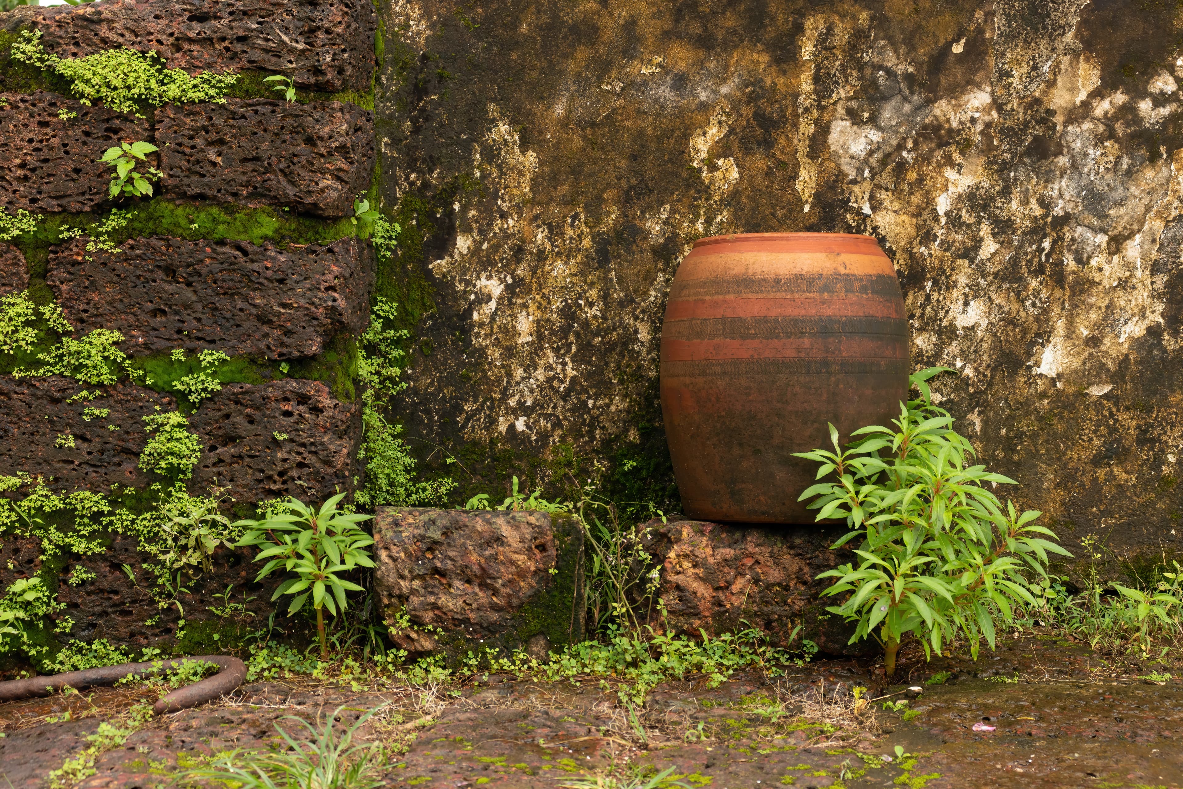 Preserve Reis Magos Fort Panaji Heritage Site - Image 5