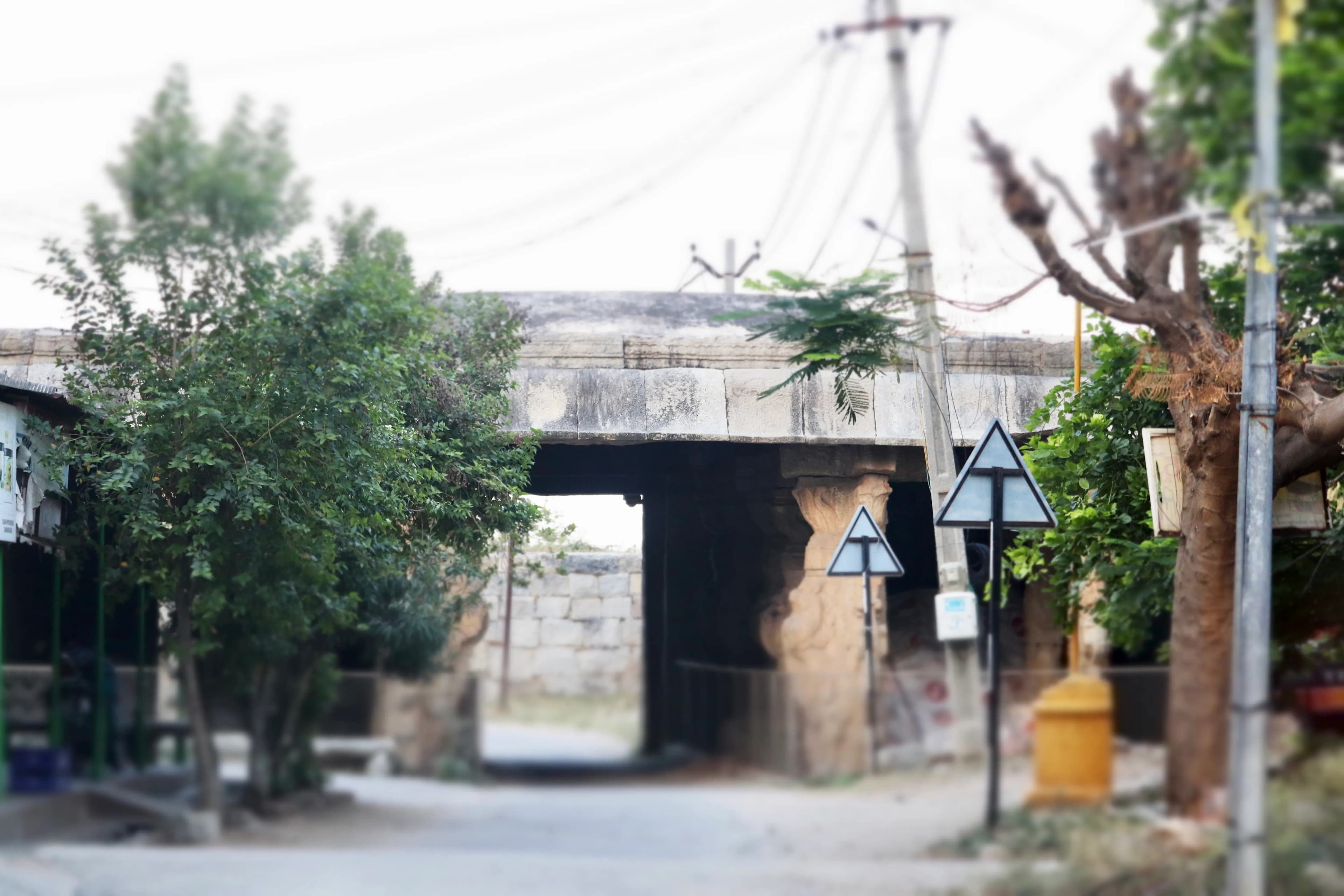 Volunteer at Chandragiri Fort Chittoor