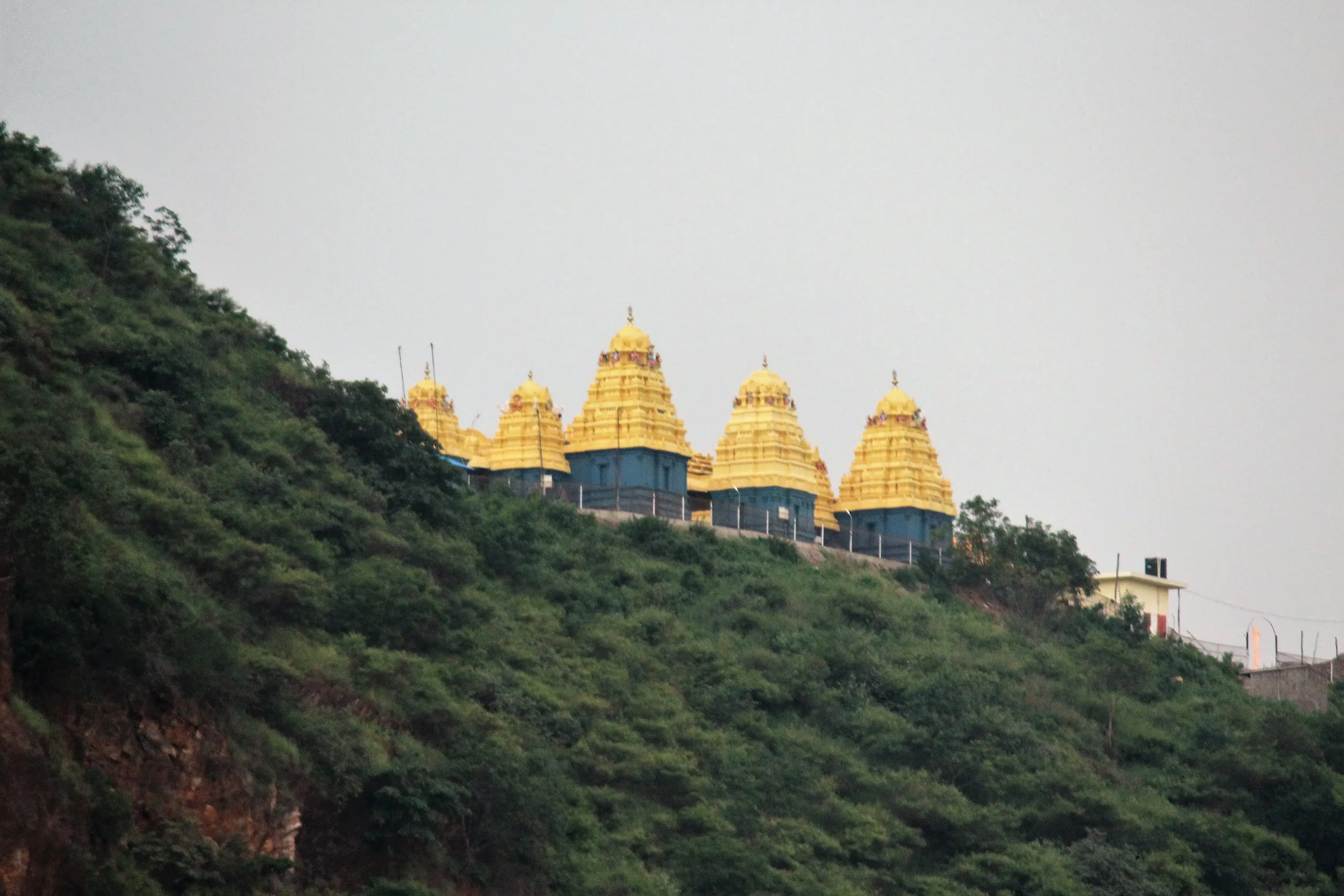 Volunteer at Kanaka Durga Temple Vijayawada