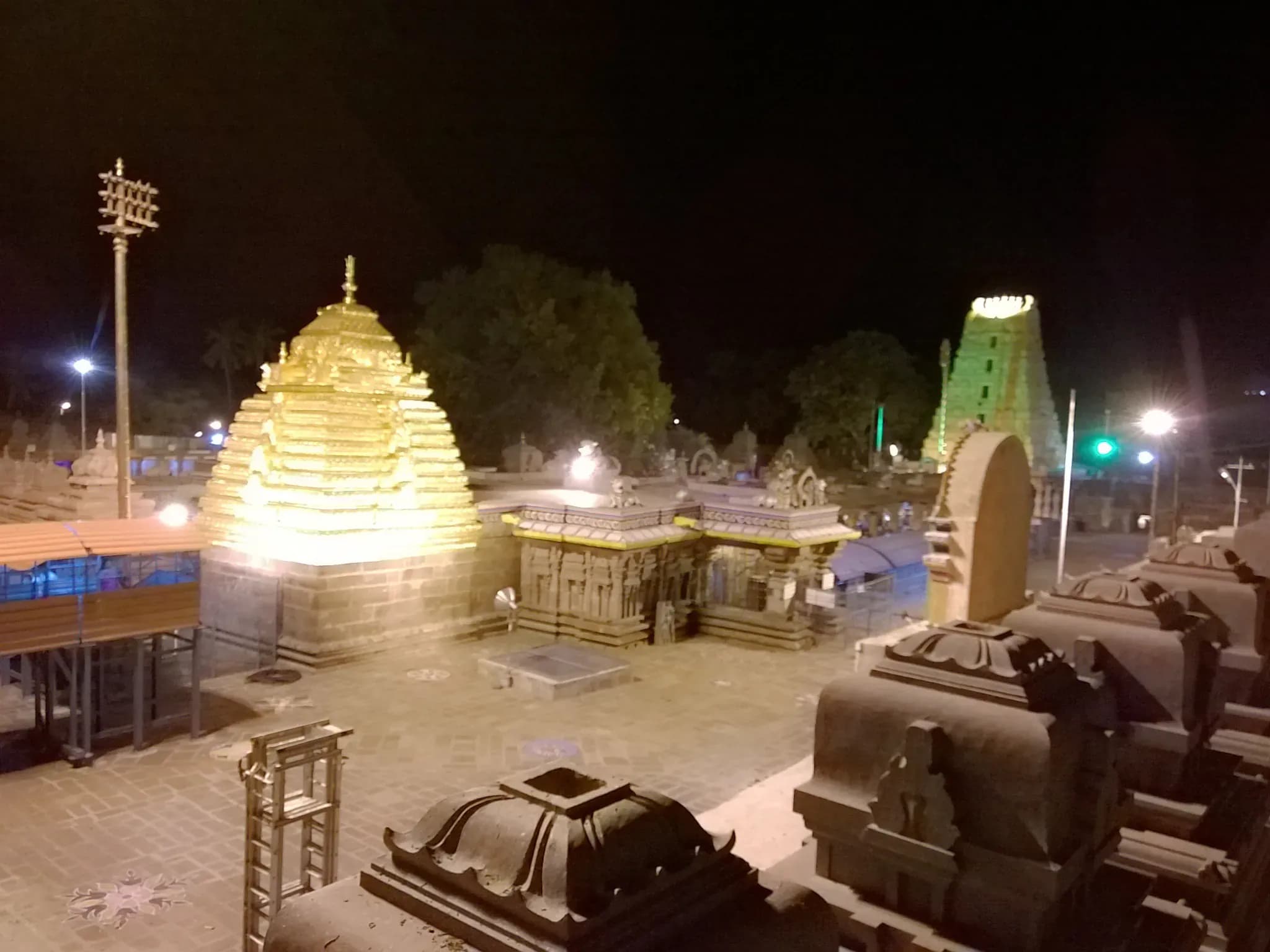 Volunteer at Mallikarjuna Swamy Temple Srisailam