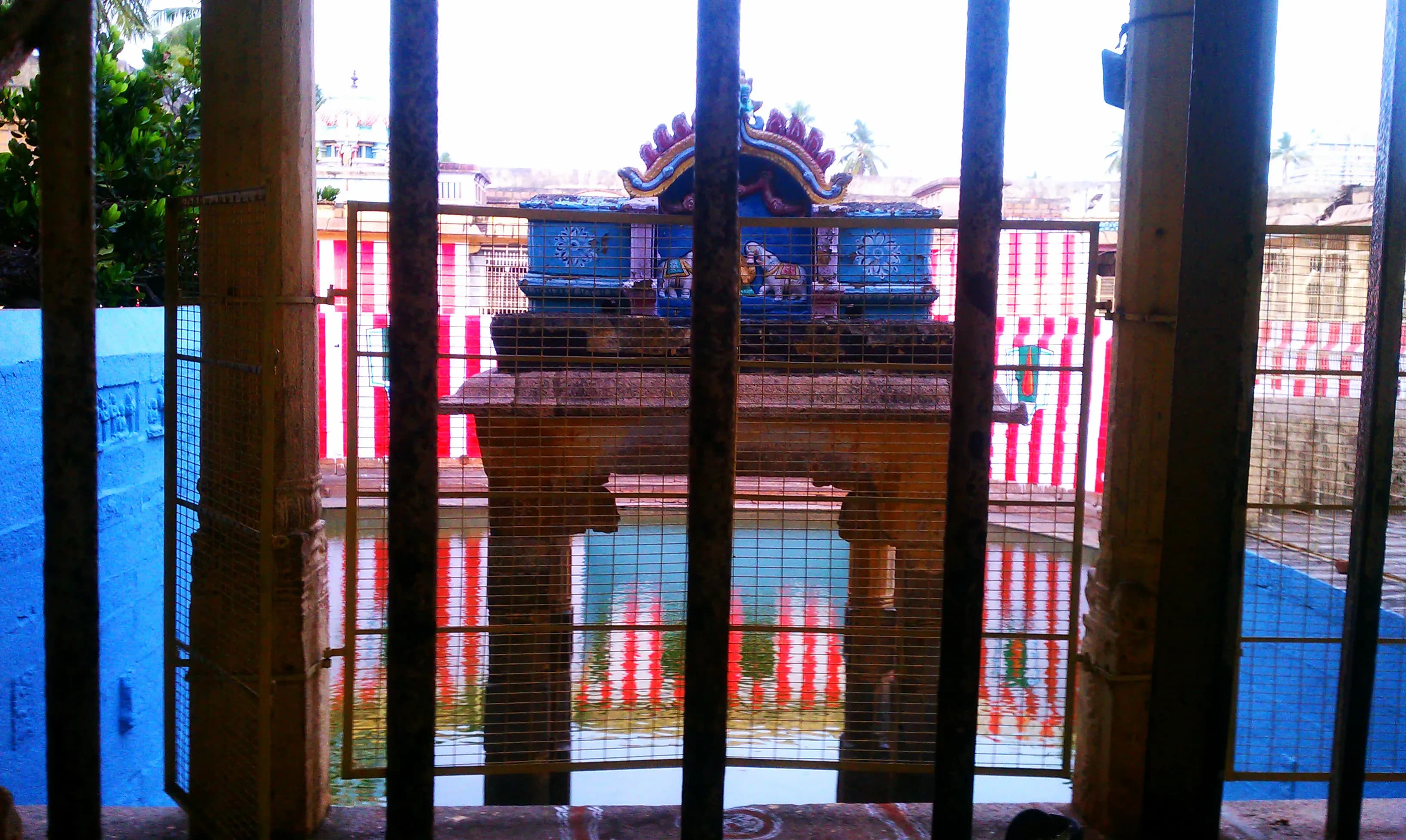 Volunteer at Ranganatha Temple Nellore