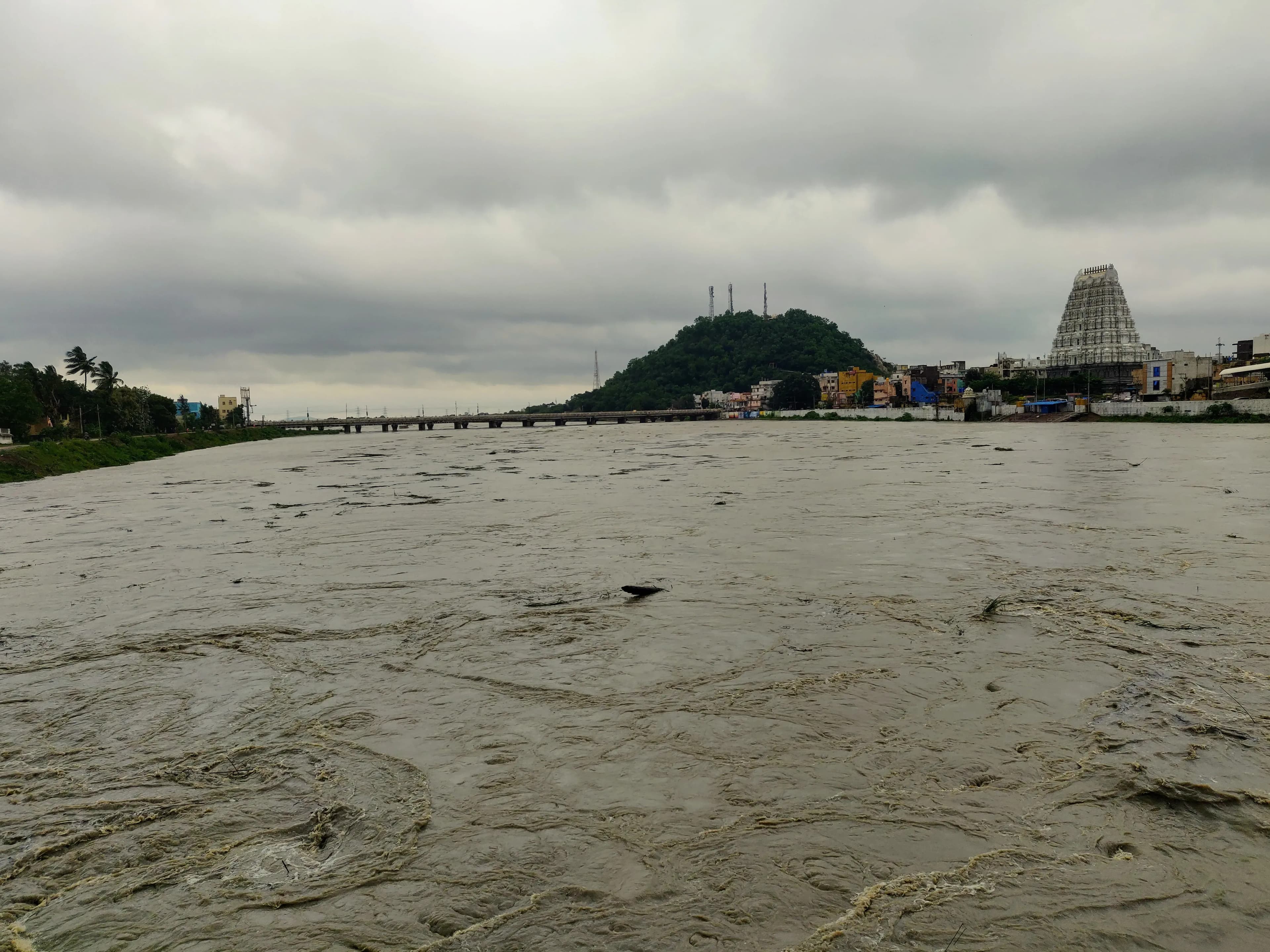 The air hung thick with incense and the murmur of chanting as I stepped through the towering gopuram of the Srikalahasti Temple. Sunlight, fractured by the intricate carvings, dappled the stone floor...