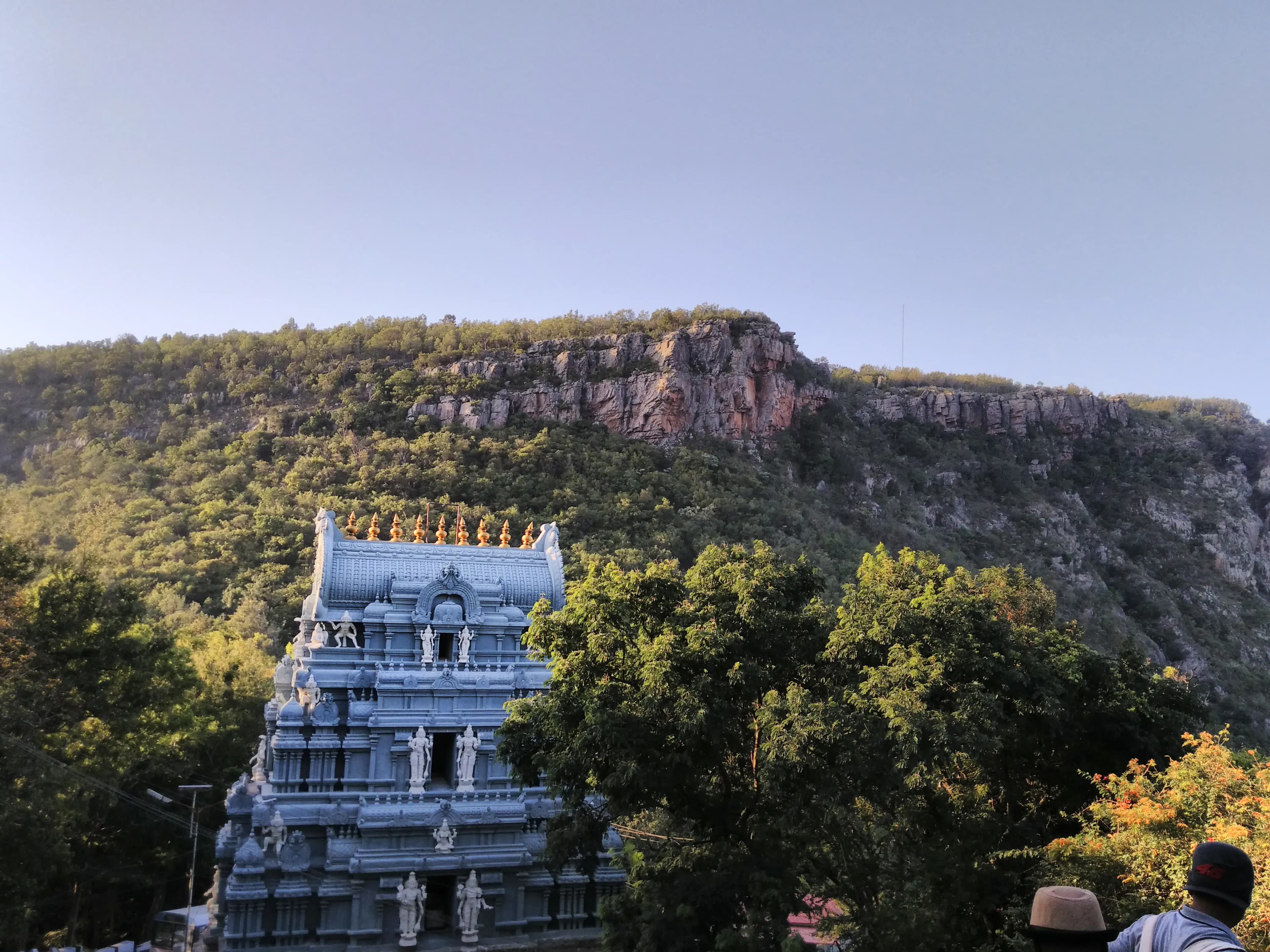The air, thick with incense and anticipation, vibrated with a palpable energy as I ascended the final steps towards the Tirumala Venkateswara Temple. Having explored countless temples across Uttar Pr...