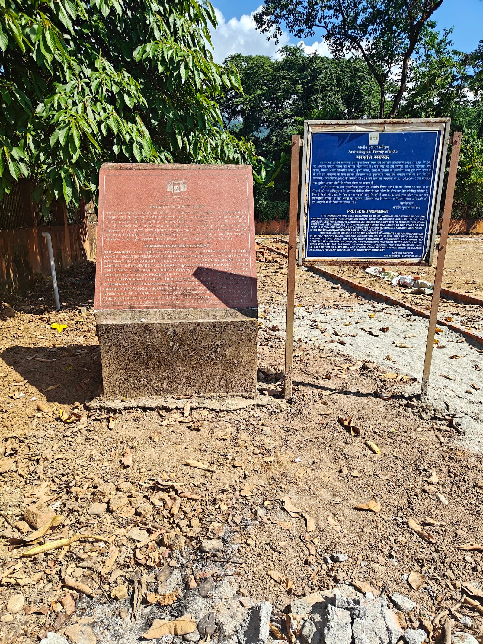 Volunteer at Bhismaknagar Fort Roing