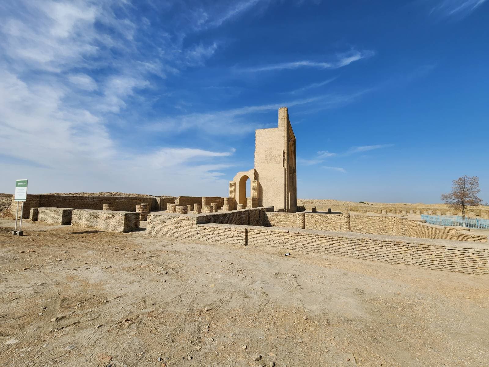 Volunteer at Dehistan Misrian Medieval Oasis Balkan Turkmenistan