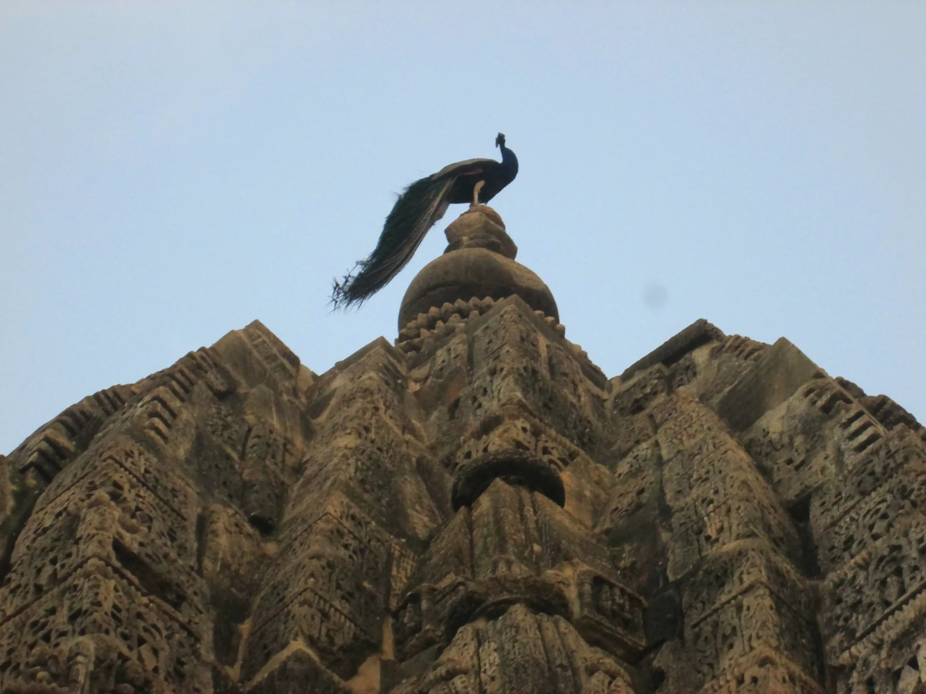 Preserve Naulakha Temple Deoghar Heritage Site - Image 3