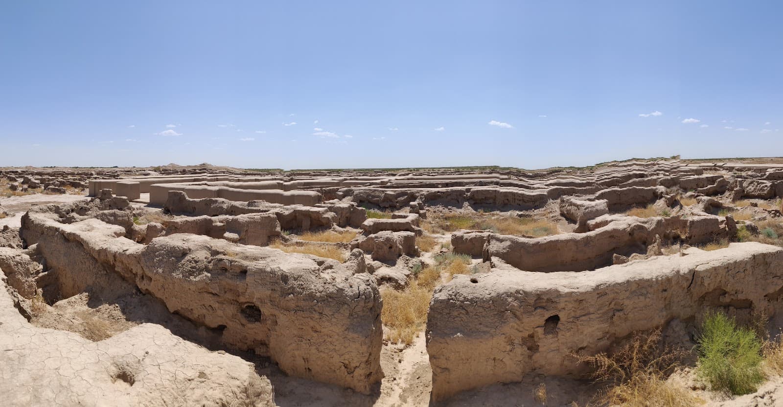 Gonur Depe, dramatically rising from the vast expanse of the Karakum Desert in southeastern Turkmenistan, represents one of the most extraordinary and archaeologically significant Bronze Age sites in ...