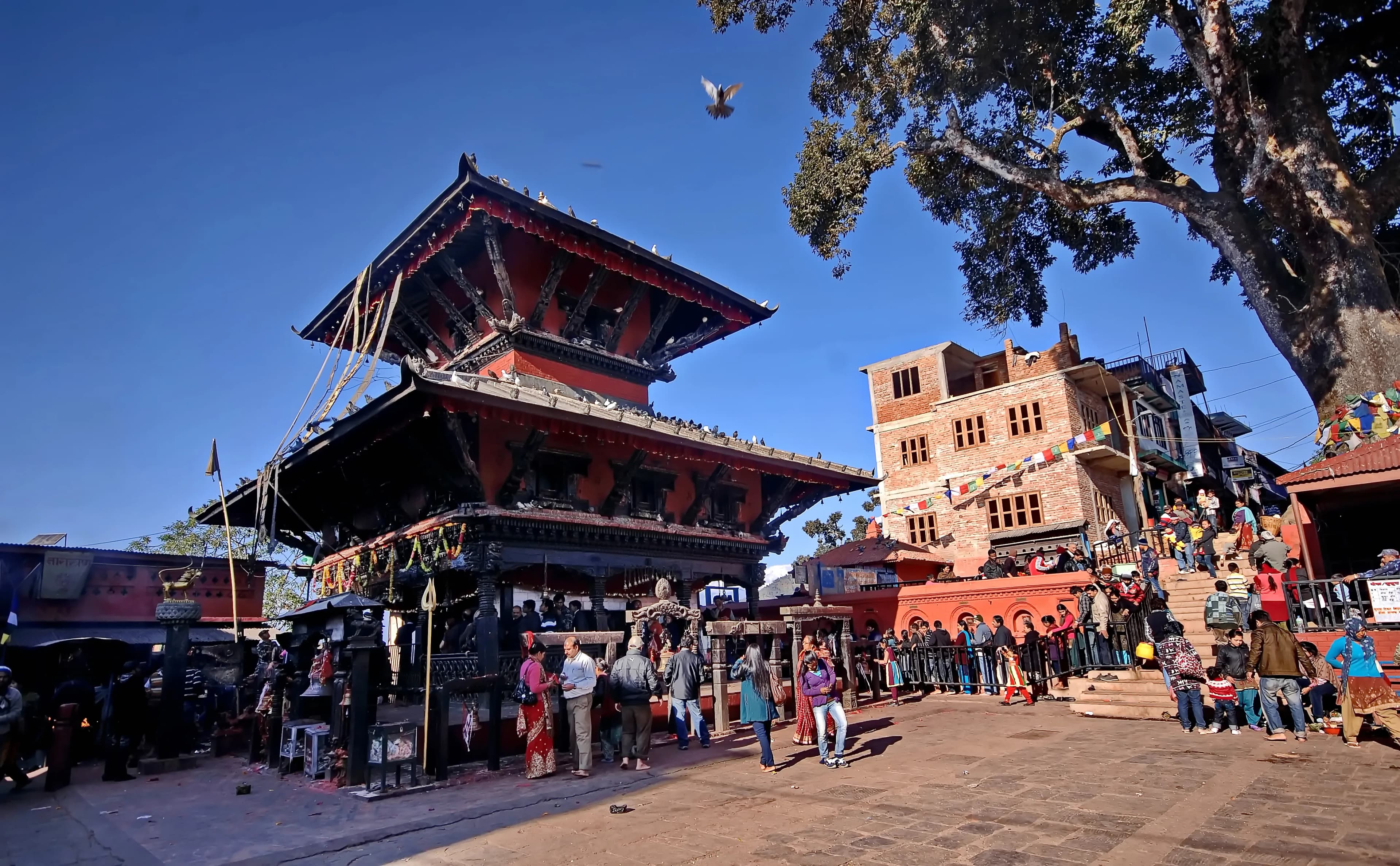 Preserve Jayanti Devi Temple Ropar Heritage Site - This important heritage site requires comprehensiv - cover image