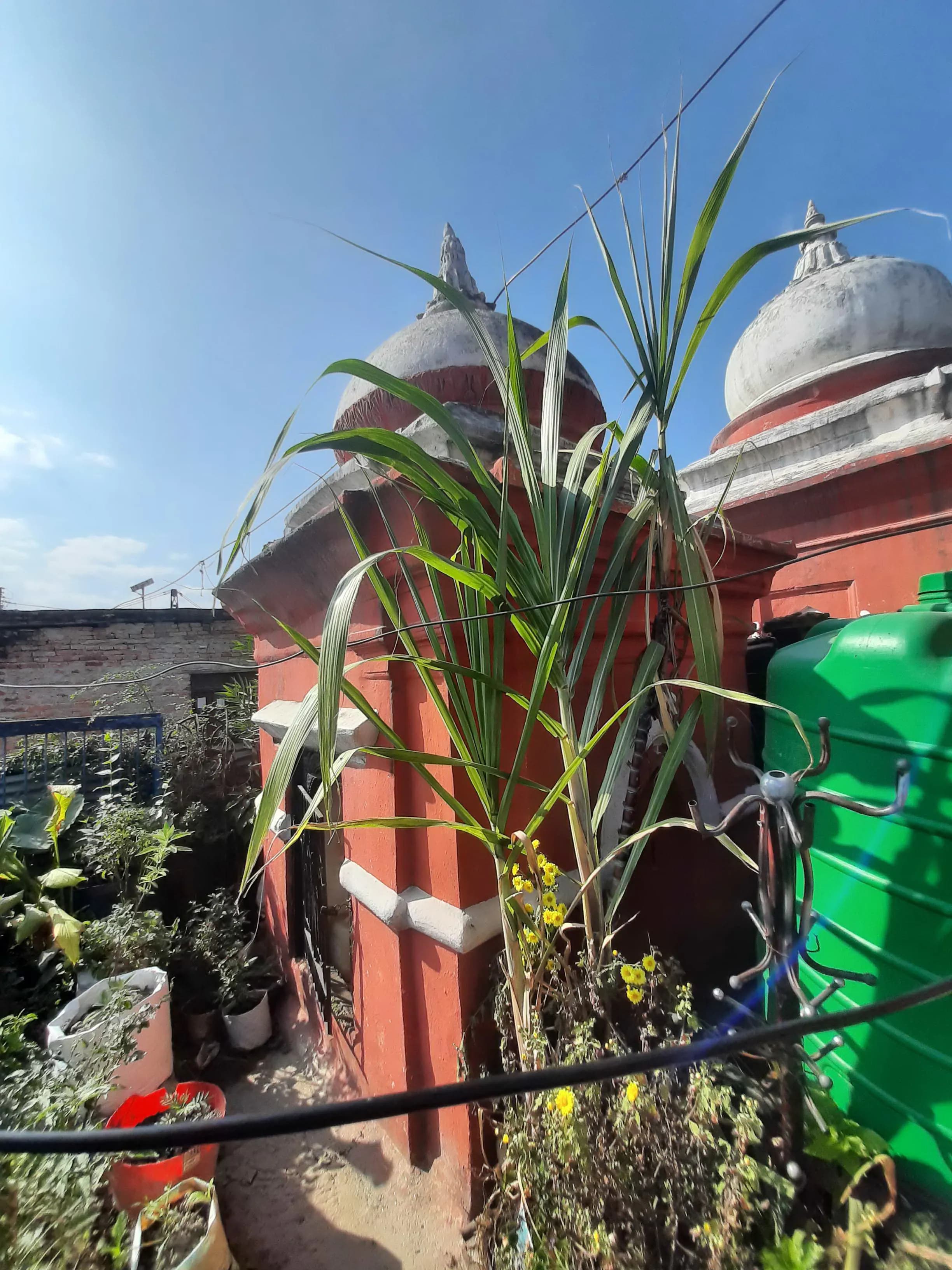Preserve Mukteshwar Mahadev Temple Pathankot Heritage Site - Image 2