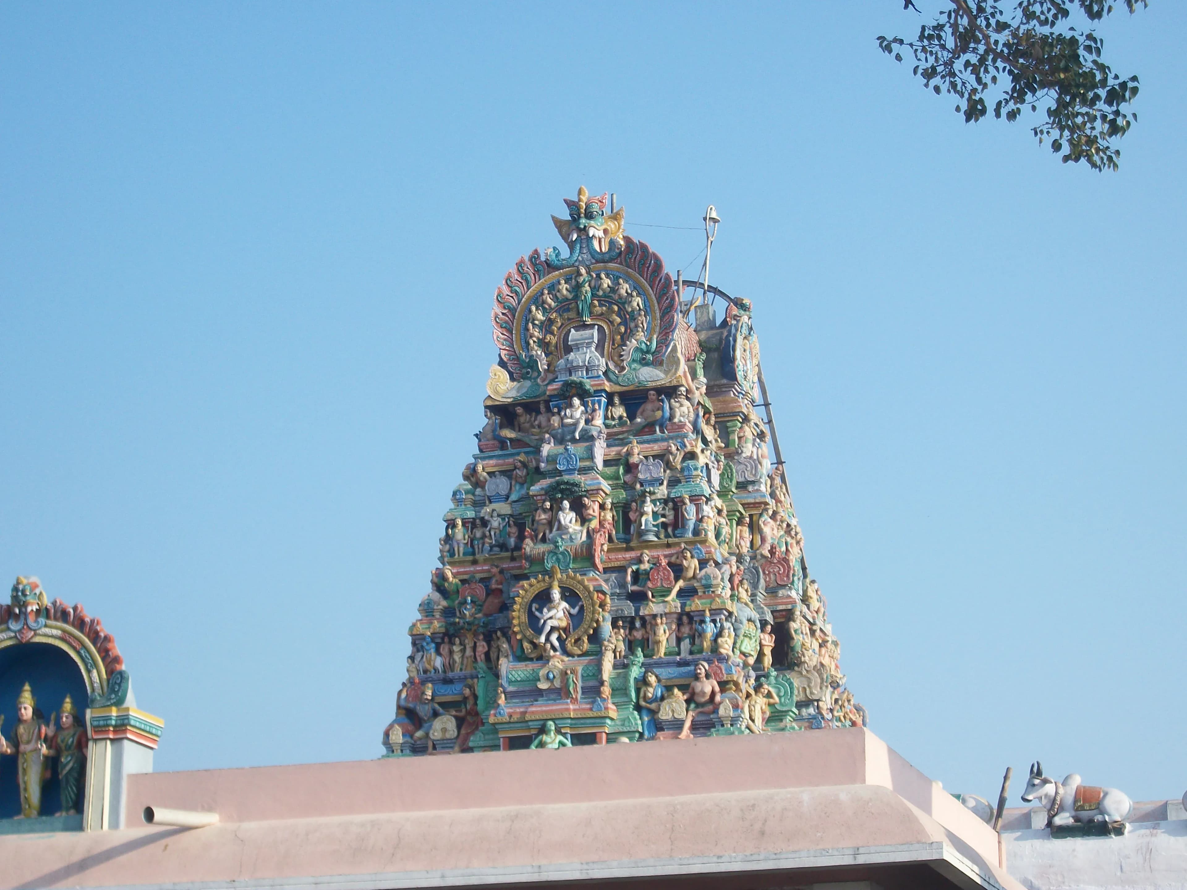 The air, thick with incense and the murmur of countless prayers, vibrated around me as I ascended the steep steps leading to the Palani Murugan Temple. Having explored the sandstone grandeur of Rajas...