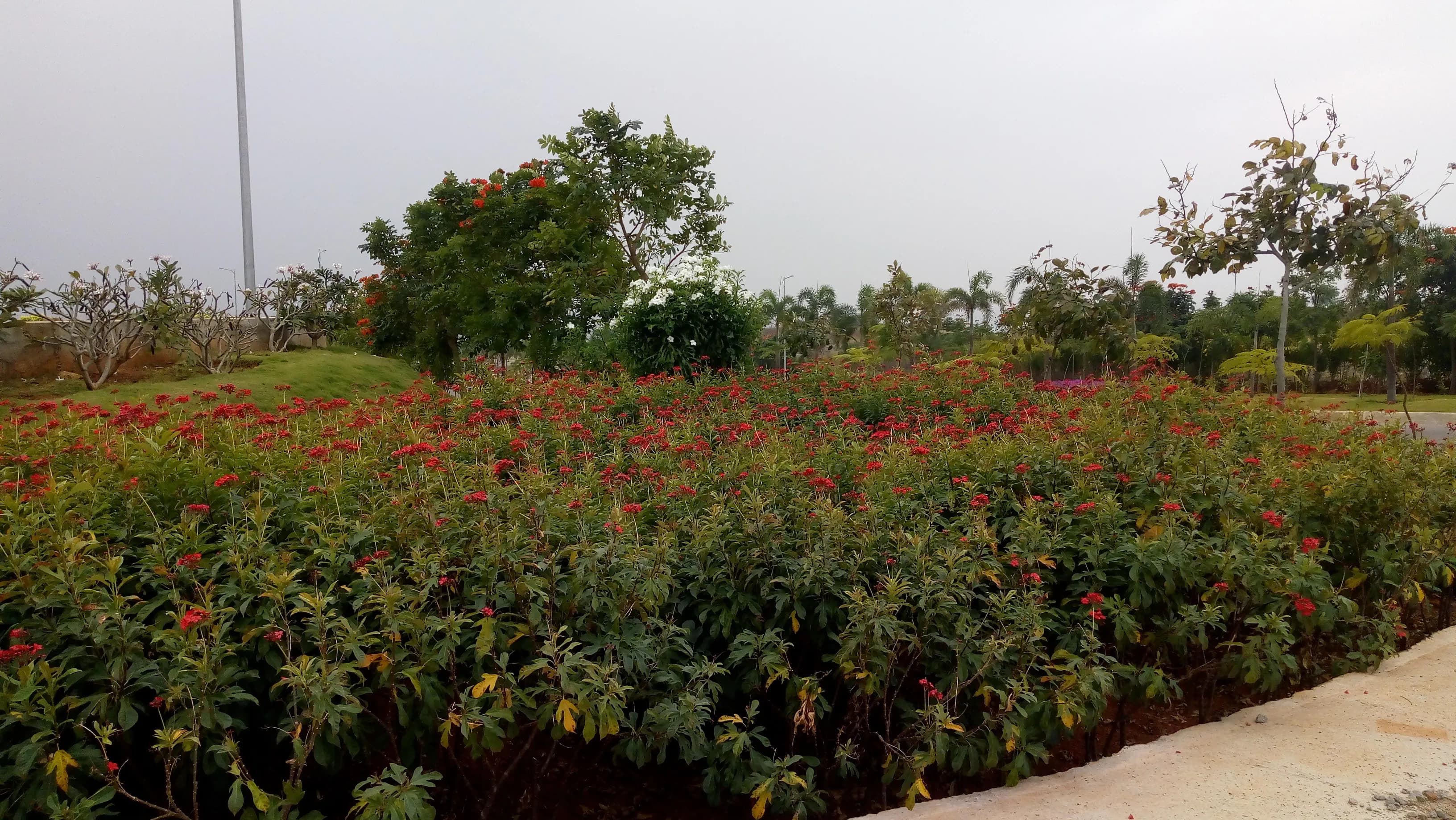 The rock of Yadagirigutta, a monolithic hillock jutting dramatically from the Telangana plains, has drawn the eye and the spirit for centuries. My recent visit to the Lakshmi Narasimha Temple, perche...