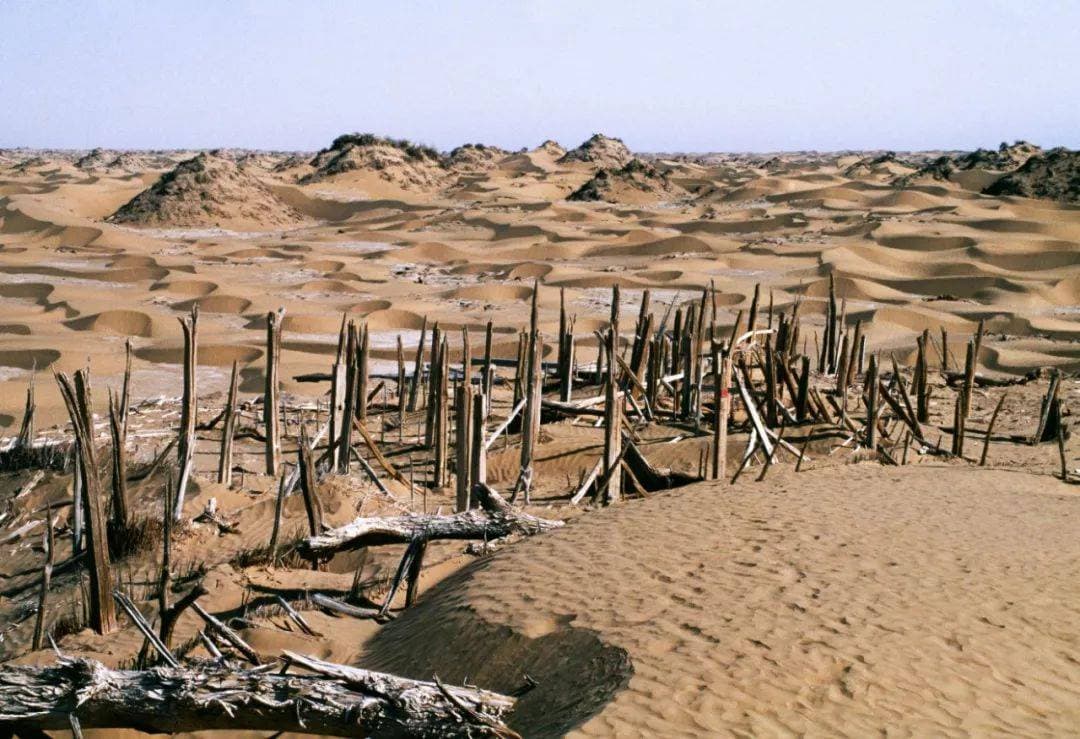 The Niya Ruins, an archaeological site located approximately 115 kilometers north of modern Niya Town in Minfeng County, Hotan Prefecture, Xinjiang, China, stands as a profound testament to India's mi...